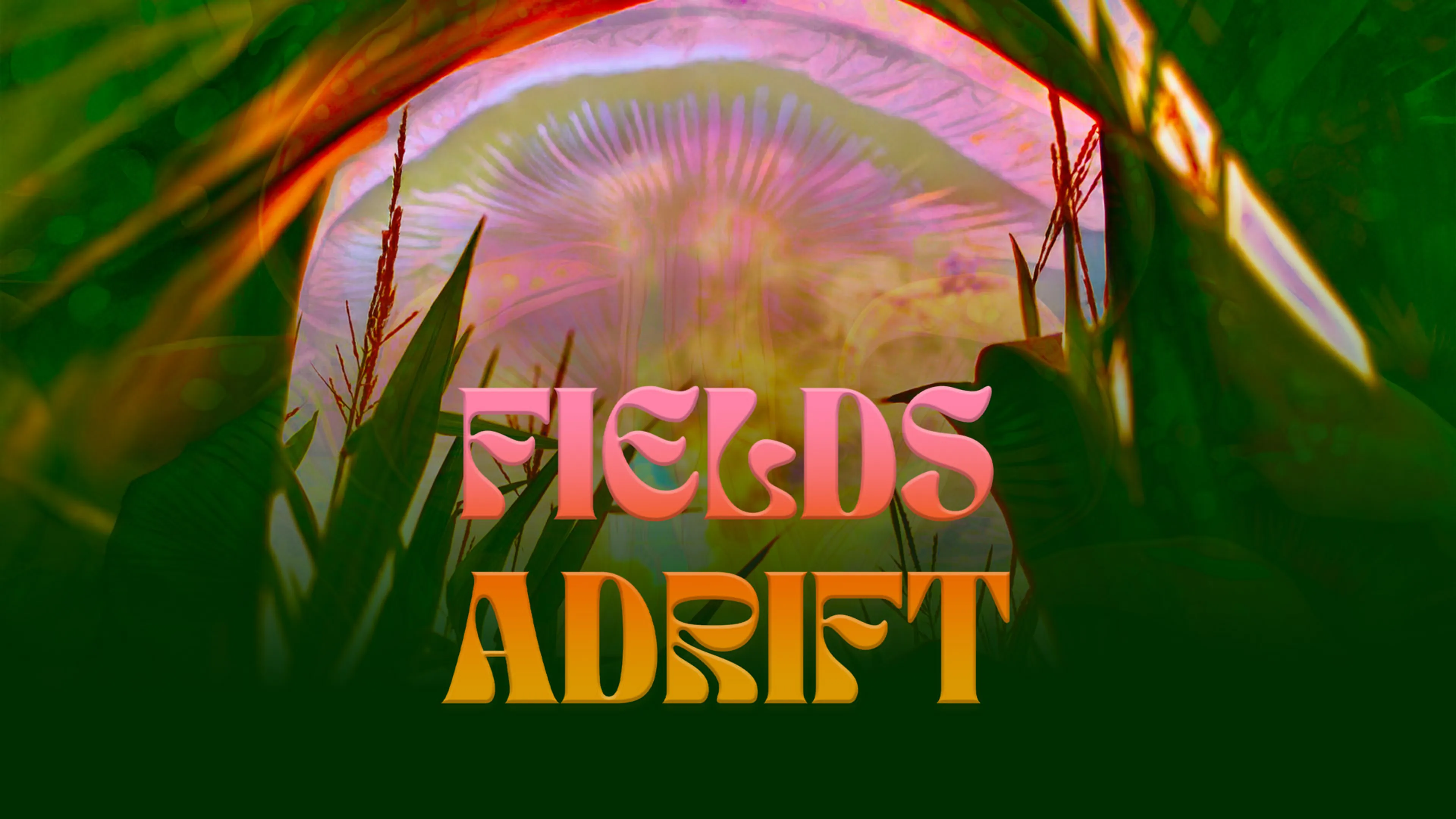 Fields Adrift poster